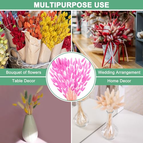 120 unidades de hierba Bunny Tails decorativa seca miniatura 6