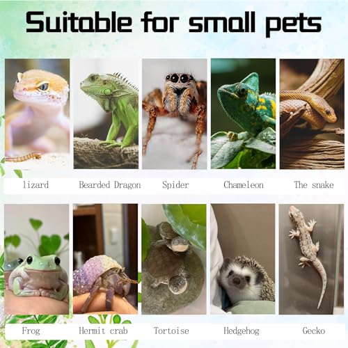 Cork Terrarium Background 4pcs Natural Cork Bark Climbing Mat Habitat Decoration Chameleons, Lizards, Turtles Glass Jar Decoration