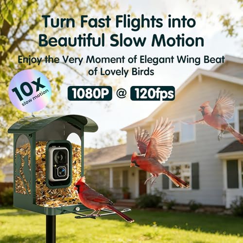 Bird Feeder with Camera, 4K Ultra HD Video with 30fps Live View, 10x Slow Motion, No Subscription, Solar Powered AI Smart Bird Feeder with Camera, 2.4G/5G Wi-Fi, Durable Metal,Bird Lover Gift - Image 5