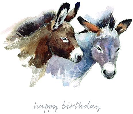 Greetings Cards set Watercolour animals | eco friendly | handpacked in the UK | Male Female | greeting card multipack | Mixed Pack of 8 Designs Birthday and Blank Cards and Envelopes
