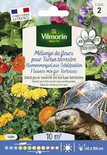 Vilmorin mélange de fleurs pour tortues terrestres, sachet 12 g