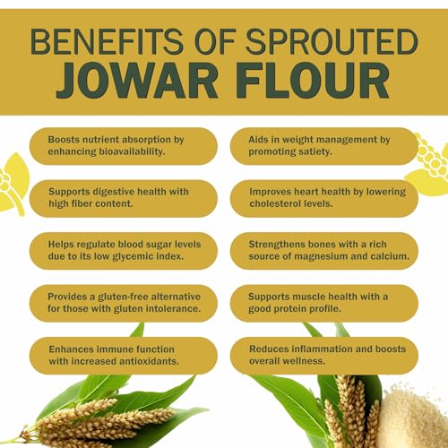 Image of Nutriplato-enriching lives Sprouted Jowar Flour, 700g (Pack of 2)