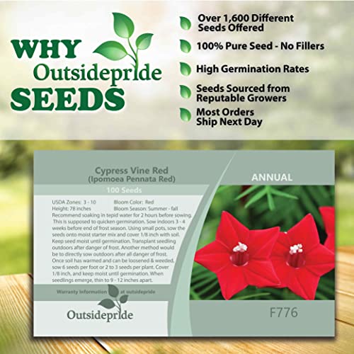 Outsidepride Ipomoea Pennata Red Cypress Climbing Vine Plant Flowers - 200 Seeds #TOP13