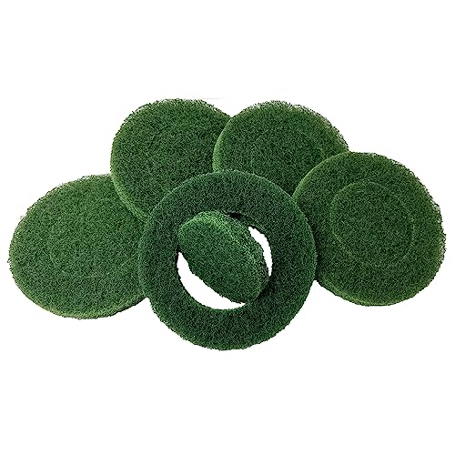 OLI-NATURA Super-Pads für Exzenterschleifer (5 Stk) - zum Auspolieren & Einmassieren von Ölen - Farbe: grün