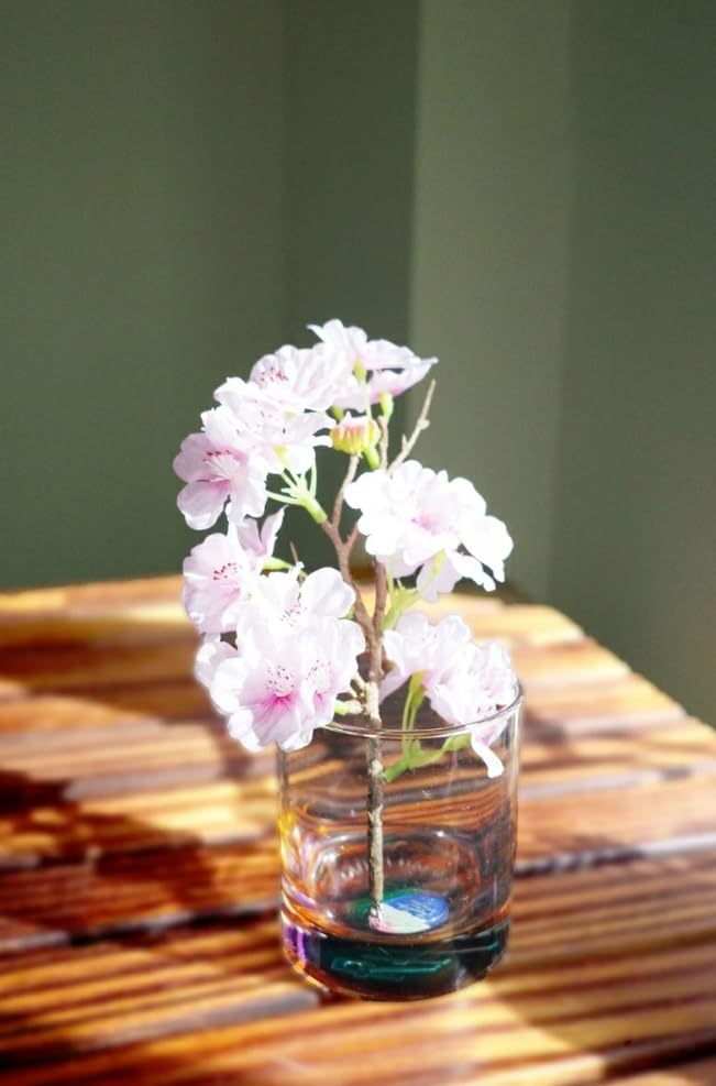 バラ売り可 サザンオールスターズ 完全生産限定版LIVE 2点セット