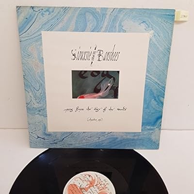SIOUXSIE AND THE BANSHEES, song from the edge of the world columbus mix , B side the whole price of blood & mechanical eyes, shex 13, 12" single