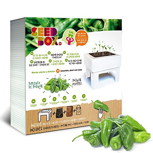 SeedBox SBCUPP-Pimientos de padrón