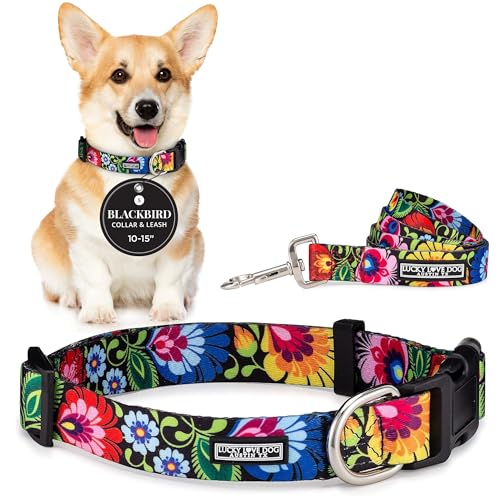 Lucky Love Dog collar and leash set (Small) - secure fit, durable nylon