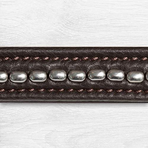 Kieffer - Dobladillo para caballo (muy suave, con perlas y nuca acolchada), color negro, Extra Warmblut