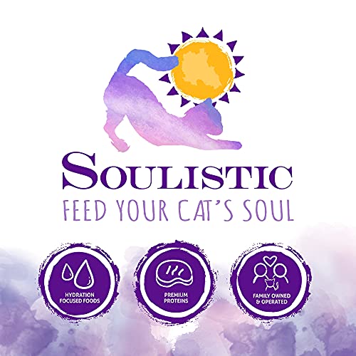 Soulistic Originals Seaside Serenity Salmon & Tuna Dinner In Gravy Wet Cat Food, 3 Oz, Case Of 12 #TOP6
