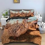 BAIL Sommer Bettbezüge 135x200 Tier, Bettwaesche Strauß, Bettbezug Mikrofaser 3teilig, Bettwäsche Weich Atmungsaktiv und 2 Kissenbezüge 80x80 cm, mit Reißverschluss