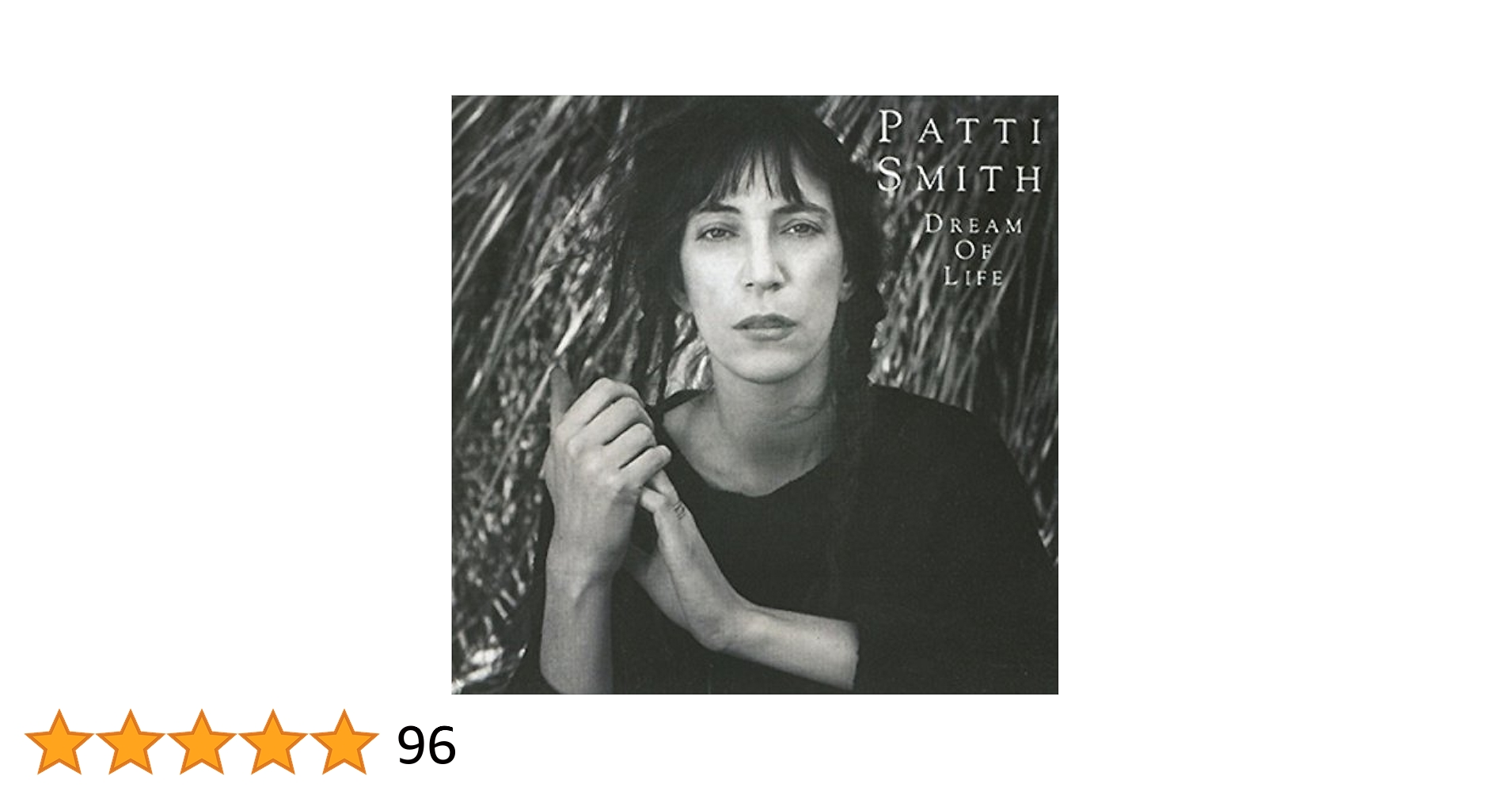 パティ・スミス ジャストキッズ Patti Smith Just Kids 帯付 パティ・スミス ジャストキッズ Patti Smith Just Kids 帯付