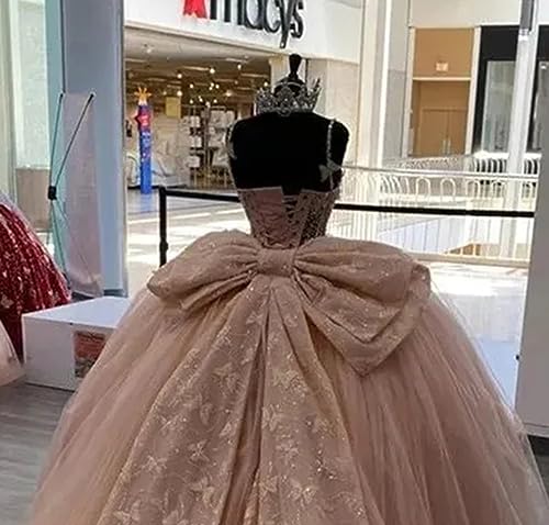 Shiny Butterfly Quinceanera Dress with Big Bow Butterfly Sweet 16 Formal Birthday Party Gowns3