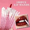 Teenitor 310PCS Disposable Makeup Applicators Kit, Mascara Wands Lash Spoolies, Eyeshadow Applicators, Lip Applicators Disposable, Microswabs, Makeup Artist Kit Essentials with Box