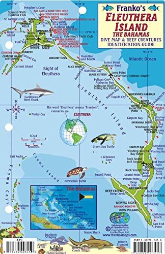 Eleuthera Island Bahamas Dive Map & Reef Creatures Guide Franko Maps Laminated Fish Card