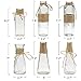Habbi Glass Vases Set of 6, Clear Glass Flower Vase with Rope Design for Home Decration