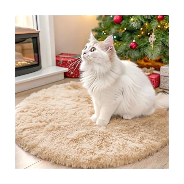 OLANLY Area Rugs for Living Room