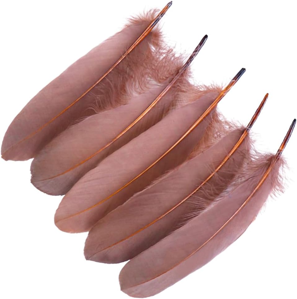 ECYC Ltd 6-8 Inch Natural Goose Feathers Bulk Craft Feathers for DIY Art