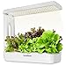 Ivation Herb Indoor Garden Kit | Complete Hydroponic Grow System for Herbs, Plants & Vegetables with LED Light, Seeding Box & Sponge Cubes, Planting Pods & Hats, Nutrients & Tweezers | Just Add Seeds!