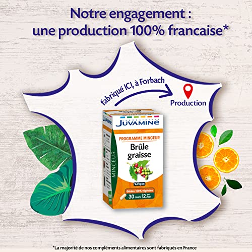 JUVAMINE - Brûle Graisse - Programme Minceur - Thé vert, Kola et Café Vert - Vegan - Aide au Contrôle Général du Poids - Contribue à Tonifier l'Organisme - 60 Gélules - Fabriqué en France – Image 4