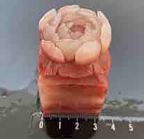 【福】ラオス石　桃花　鳥虫篆　篆刻　印材　印石　落款　遊印　雅号　書道 福】ラオス石 桃花 鳥虫篆 篆刻 印材 印石 落款 遊印 雅号 書道