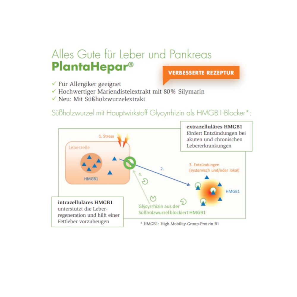 PlantaHepar 800mg | 240 Tabletten | Ergänzungsfuttermittel für Hunde | Zur Pflege des Pankreas- und Leberstoffwechsels