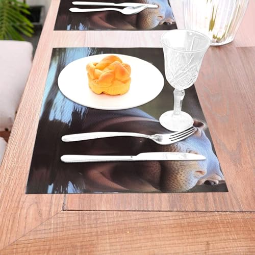 Set de table pour cuisine et extérieur : lot de 6 protections lavables pour table basse