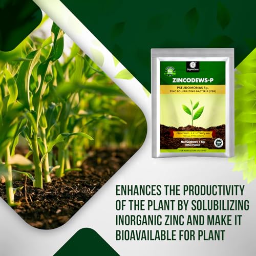 Image of OrganicDews Zinc Solublizing Bacteria Bio Fertilizer 1 Kg (5x10^7 CFU /g) for Plants - Soil Fertility, Faster Plant Growth and Increases the Yield 1 Kg