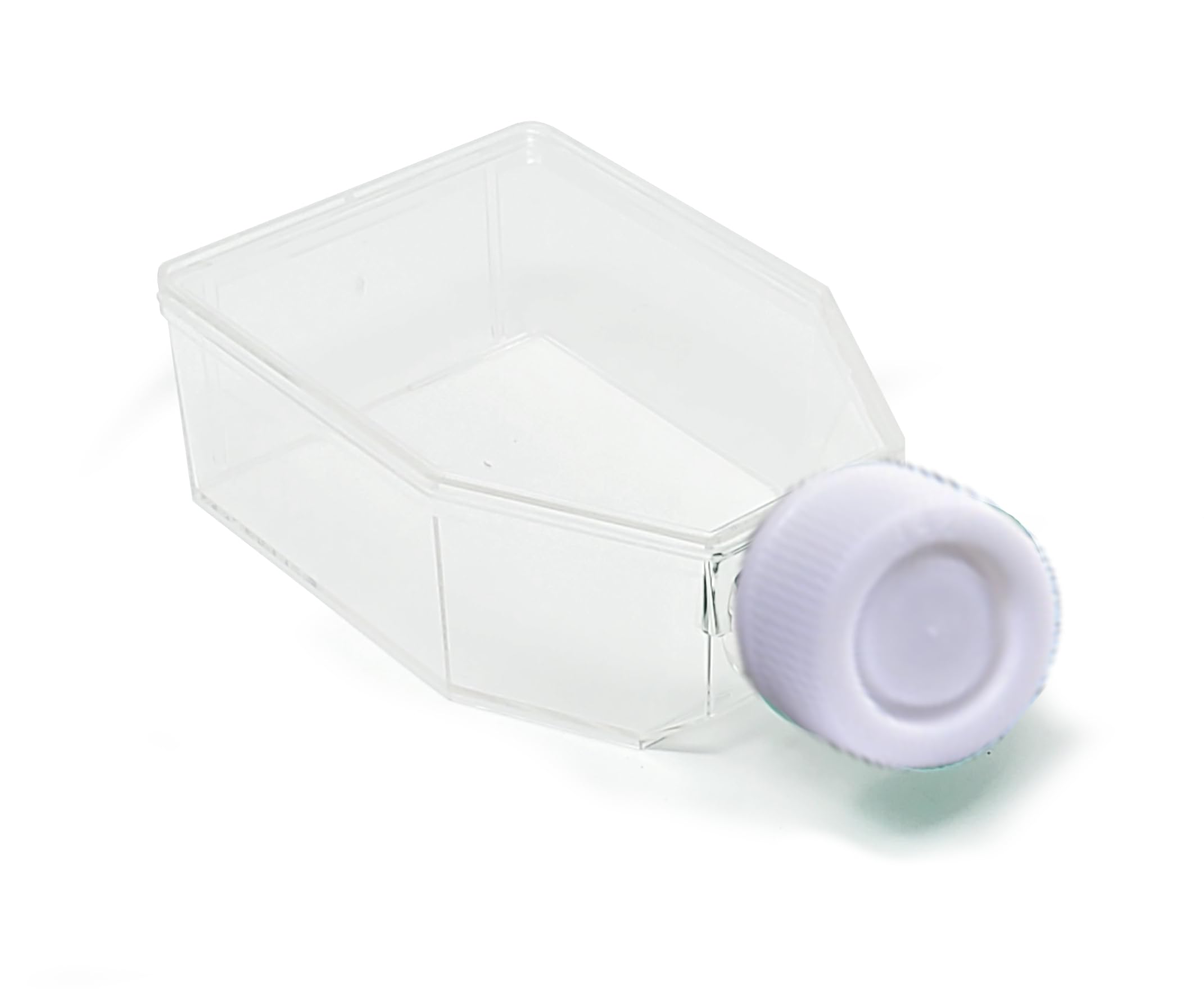 SPL Cell Culture Flask 25 cm2 (T25) Plug Cap, Non-Treated, Sterile, 200/Case