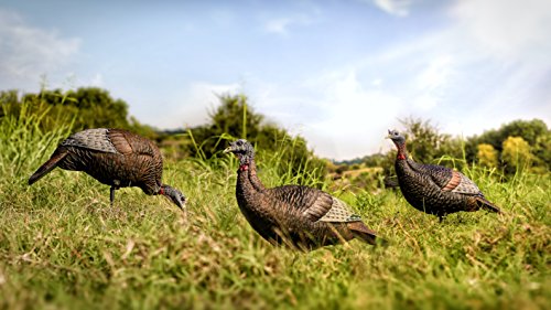 Flextone Thunder Jake Decoy