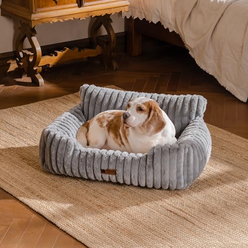 MEWOOFUN Hundesofabett - Katzenbetten für Hauskatzen Weich und Flauschig, Katzensofabett Kleines Hundebett für Hunde und Katzen, Beruhigendes Hundebett (Grau, 91x72x30cm)