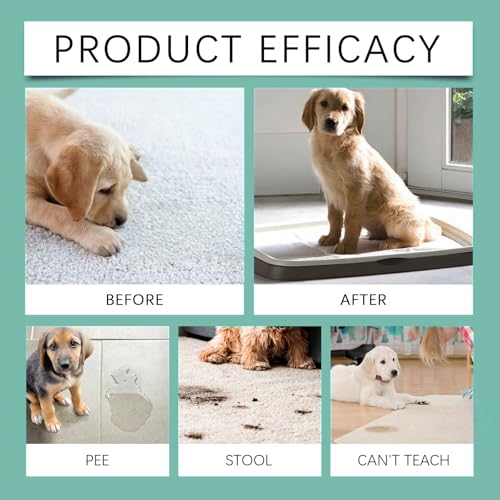 60ml Hunde Potty Training Spray,Doppelzusammensetzung Welpen Toilettentraining Hilfe,Hunde Anziehungsspray für Schnelles,Effektives Stubenrein Training für Innen,Toilettentraining Hilfe Hunde
