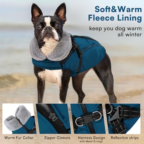 Queenmore Hundejacke Kleine Hunde Winter, Hundemantel Reflektierend Wasserdicht, Hunde Fleecemantel für Dackel/Cockapoo/Spielzeugpudel/Welpen(Coelinblau, S)