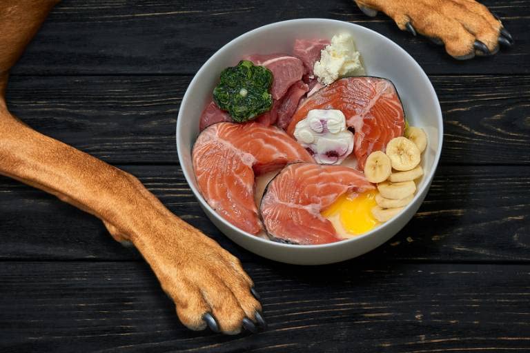 MERSJO Lachsöl für Hunde und Katzen 1000ml - Reich an Nährstoffen und Omega 3, Unterstützt das Immunsystem - Katzen Zubehör, Lachsöl Hunde, Anti-Allergisch, Ernährungsanreicherung