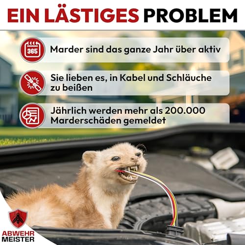 ABWEHR MEISTER Original 4X Marderschreck-Kugeln inkl. PKW- Halterung, Marderschreck Auto mit Sofort und Langzeitwirkung, Marderabwehr zum Schutz vor Marder im Motorraum Made in Germany