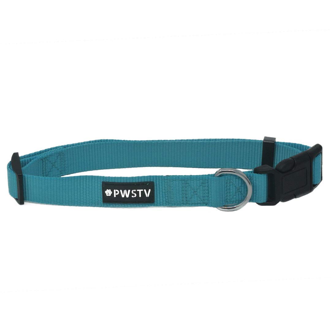 PWSTV by The Pawsitive Co. Dog Collar and Leash Collection - Dog Collars and Dog Leashes (Each Sold Seperately)
