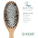 Kent V07 Vegan Boar Bristle Hair Brush, Large Organic Hair Brush for Smoothing and Boosting Shine, Eco Friendly Paddle Brush Ideal for All Hair Types