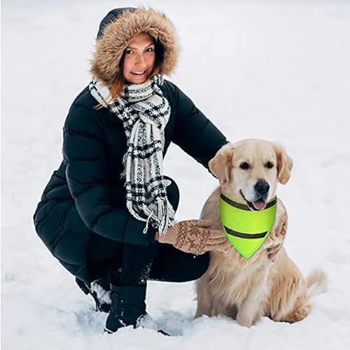Encell Set Of 2 Dog Bandana Reflective Scarf Safety Pet Hunting Bandana,Green,L #TOP1