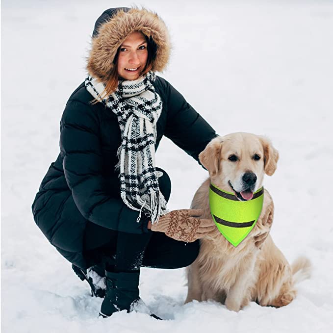 2 Reflektierende Hundehalstücher Im Set - Sicherheits-Halstuch Für Nächtliche Gassirunden