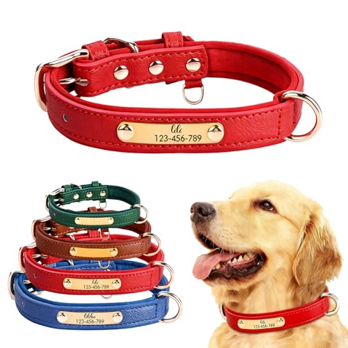 Collare per cani in pelle personalizzato con targhetta incisa Collare per cani personalizzabile regolabile perfetto per taglia piccola, media, grande