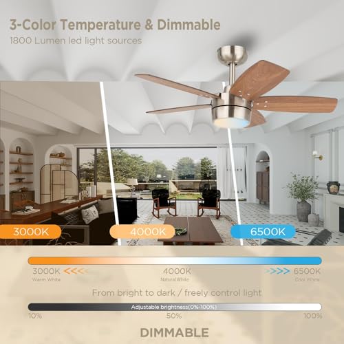 36 Inch Quiet Ceiling Fan with Light and Remote,91cm - Image 3