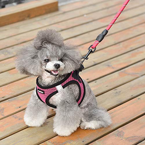 Image of Dog Harness Step-in Breathable Puppy Cat Dog Vest Harnesses for Small Medium Dogs