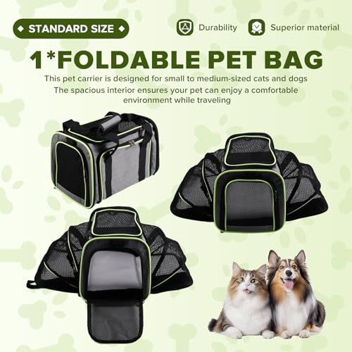 Bolsa expandible para mascotas con estructura plegable y portátil 3