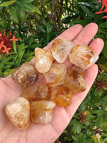 Image of GAF TREASURES 1 /2 LB Golden Healer Quartz Tumbled Stones, Polished Natural Golden Healer Quartz Gemstone, Golden Healer Quartz Healing Crystals (Golden Healer Quartz)