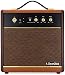 ClearClick Active Bluetooth Speaker - Vintage Retro 70's 80's Guitar Amp Style - Premium Wood & Faux Leather Design