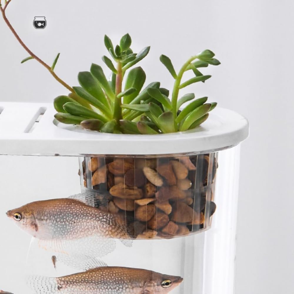 HAZARA Casa de Calabaza pecera Sala de Estar hogar Escritorio Perezoso de plástico de tamaño pequeño y Mediano Acuario Acuario de Peces de Colores Eco Creativo-Medium