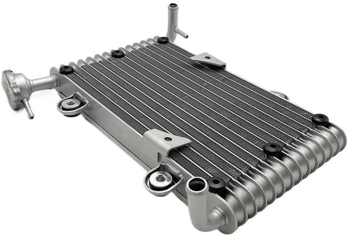 Cooling Radiator For 200 200CC 250CC BS200 BS200S-7 ATV Quad