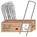 Produktbild TTL Garden 50x Erdanker 150 x 25 x Ø 2,9 mm - verzinkte & gehärtete Carbon Stahl Bodenanker Heringe für Unkrautvlies, Gartenvlies, Zaun, Vogelschutznetz, Camping - Anti-Rost robust rostfrei