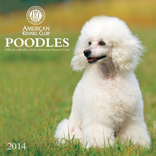 Buy Poodles American Kennel Club 2014 Calendar Book Online at Low Prices in India Poodles