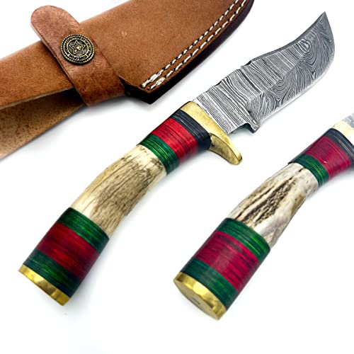 Best Hunting Knife Set With Hard Case Where to Buy?